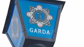Witnesses in Portarlington sought after a quad bike was stolen and recovered
