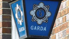 Gardaí issue appeal following incidents in Carlow and Laois