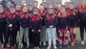 Bonus point win for Portarlington RFC over Roscrea