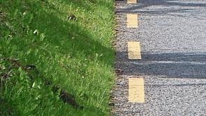 No cash for footpath at Ballyroan cemetery