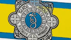 Three young males arrested after Mountrath burglaries in Laois