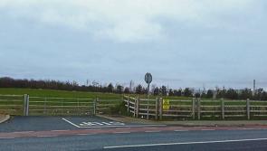New houses refused for Portlaoise's Borris Road
