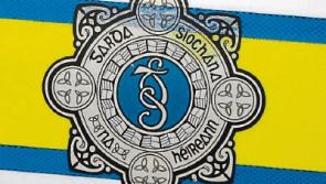 Gardaí appeal for information following assault in Portarlington 