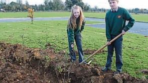 New hawthorns enrolled in St Fergal's Rathdowney