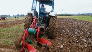 Laois has had a winner at the 2017 National Ploughing Championships 
