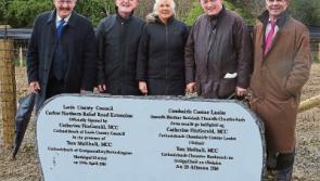 Carlow Fianna Fáil senator gets stick over Graiguecullen future in Laois