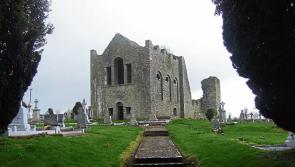 Items stolen from graves in 'shameful' thefts at Laois cemetery