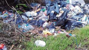 'Any sign is better than no sign' to tackle illegal dumping in Laois