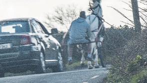 State should  cough up for sulky damage if authorities don't act demands Laois councillor