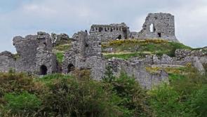 100 facts about Laois appeal  - new book in the works