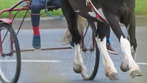 Another lockdown sulky horse race in breach of Covid-19 rules is broken up by Laois Offaly Kildare Gardaí