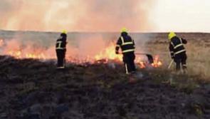 Inaction on wild fires sparking anger and frustration - IWT