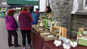 Mountrath Cottage Market to feature local foods, art & craft in Laois