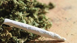 Woman in her 60s arrested as cannabis worth €45,000 seized in Portlaoise