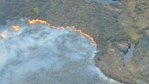 Laois Fire Service urges the public to be wildfire aware in the heatwave