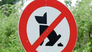 More bins needed for Laois dog walkers