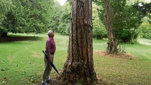 Laois groups and communities urged to sign up to Heritage Week 2017