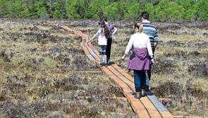 President Micheal D Higgins to take a walk on Abbeyleix Bog in Laois