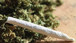 Man arrested in Laois as €80,000 worth of cannabis seized