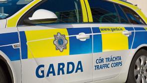 Gardaí to hold National Slow Down Day to combat speed-related road deaths 