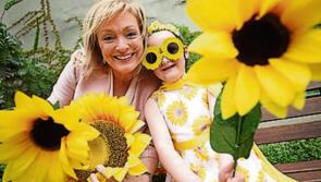 Laois Hospice makes appeal on return of Sunflowers