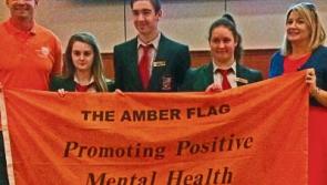 Triple awards for Portlaoise College activities