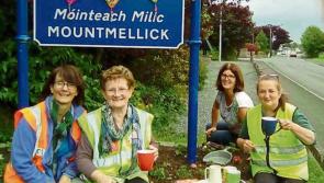 Who got what in Laois to enhance their communities in new round of grants? Full details here
