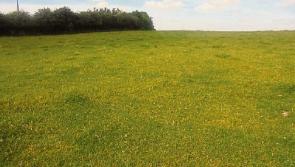 Ballypickas land for public auction