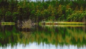 Laois public asked to have their say on plans for local Lake and Trails 