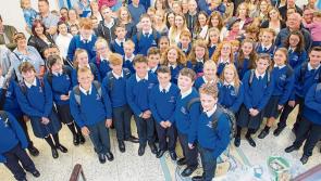Laois school and Offaly artist to create anti-graffiti mosaic