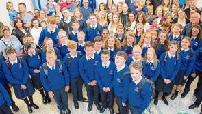 Footpath urged before new Laois secondary school built