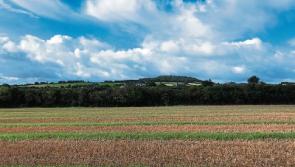 PROPERTY: Two beautiful fields at Ballymaddock