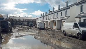 Getting picked for new Portlaoise council estate will be like "lucky bag"