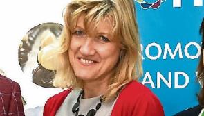Just five suicides were officially recorded in Laois over a year, but it is below real figure the HSE suicide officer believes