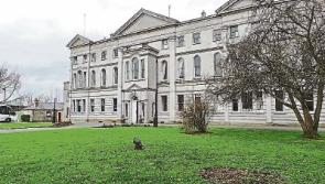 Knockbeg College students debate on using GMOs to end world hunger