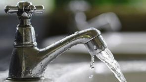 Flush and go - GAA clubs warned about bacteria dangers due to stagnant water during Covid lockdown