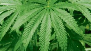 Quotes of the Month February