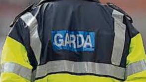 Portlaoise woman locked out of the house abused the gardaí