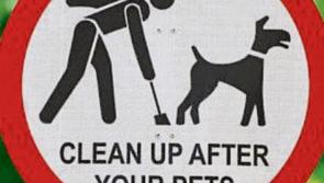 A dog fouling problem is being dragged into a Laois school