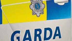 Man who hacked sleeping teenager with a machete to serve extra two years in jail