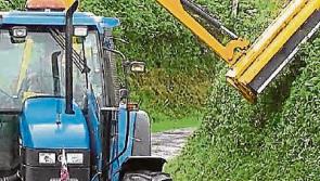 Comment - Battle to halt the fire lighters who threaten vital hedgero