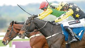 Punchestown Day 1 Tips and Preview with The Punter's Eye