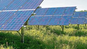 No sign of solar farm on edge of Laois Offaly town years after getting green light