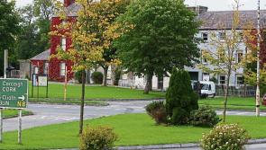 Stones falling from wall in Laois village