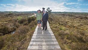 New midlands  videos to explore the precious bogs