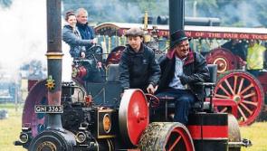 Stradbally call for volunteers to help ensure the Steam Rally rolls on