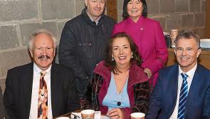 High-profile Laois Fianna Fáil member resigns over election bid  