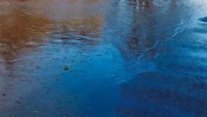 Costly fix for Laois houses hit by floods with climate change blamed as a factor