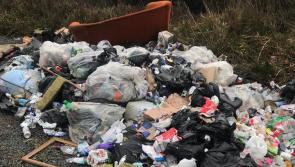 Shocking widespread dumping in Laois Slieve Blooms - CCTV demanded 
