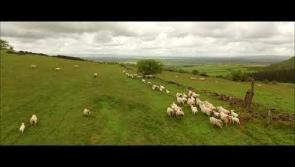 WATCH Lovely Laois from the sky o'er Cullahill 